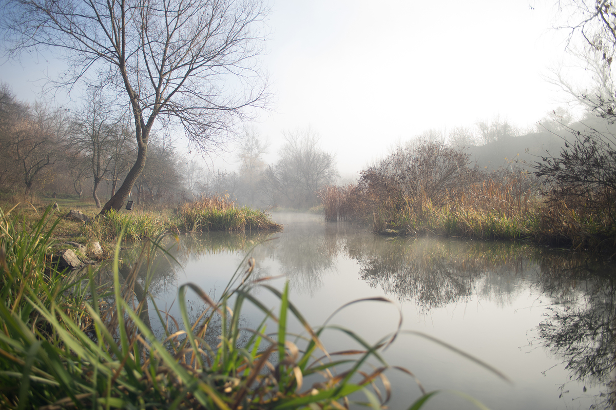 Туман над рекой