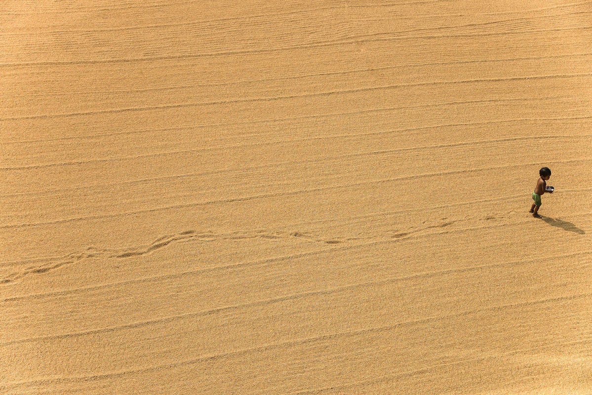 The Manual Drying Process of Rice Grain