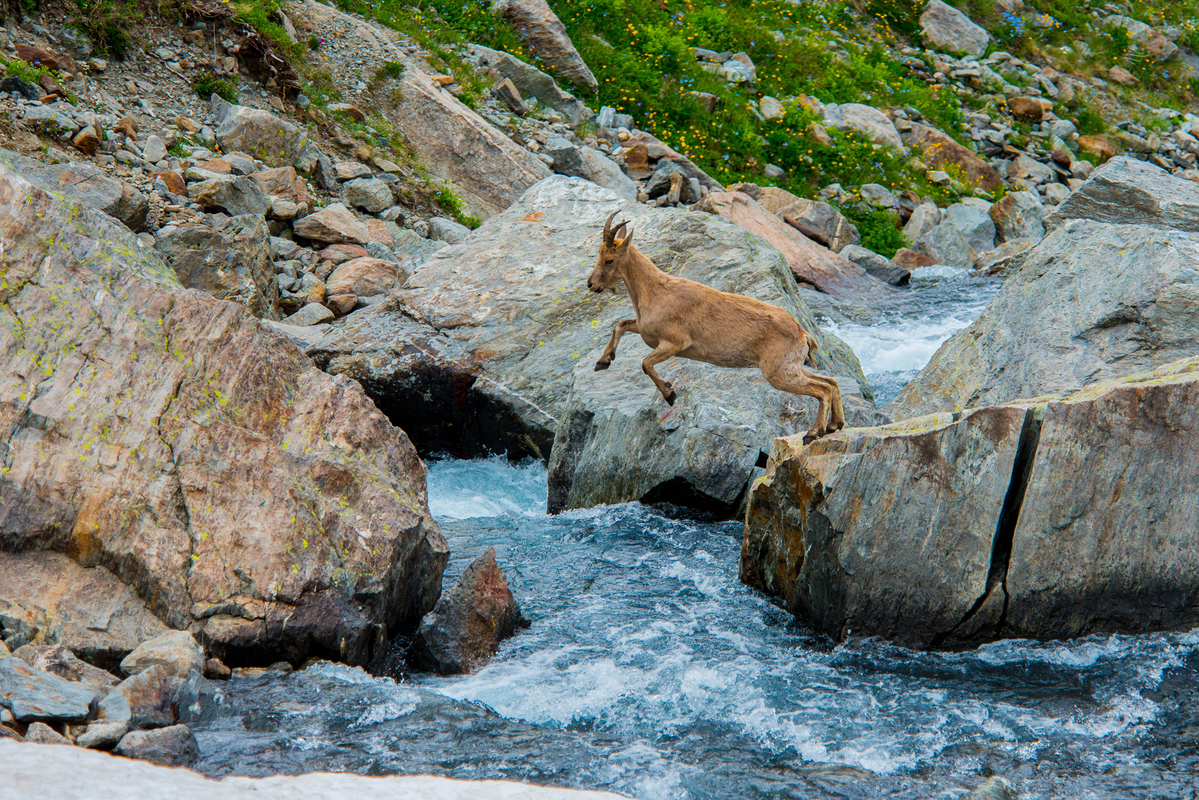 Прыжок веры