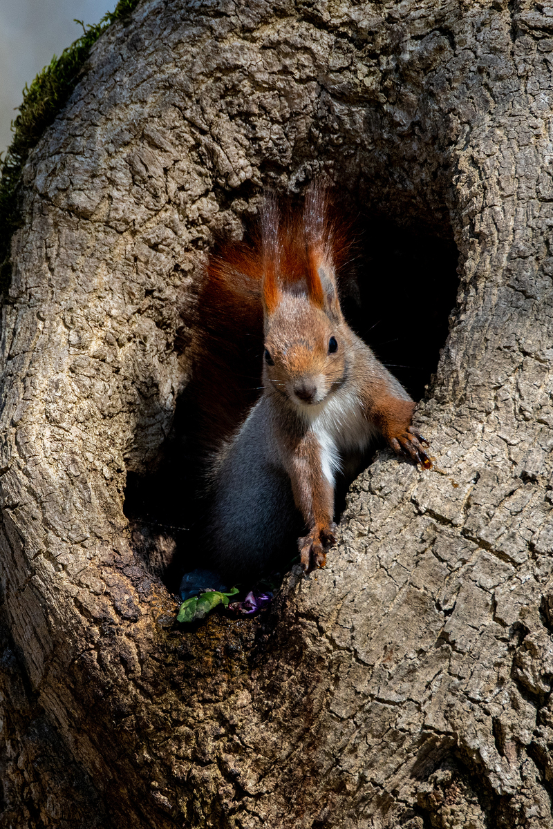 Заходи, раз пришел