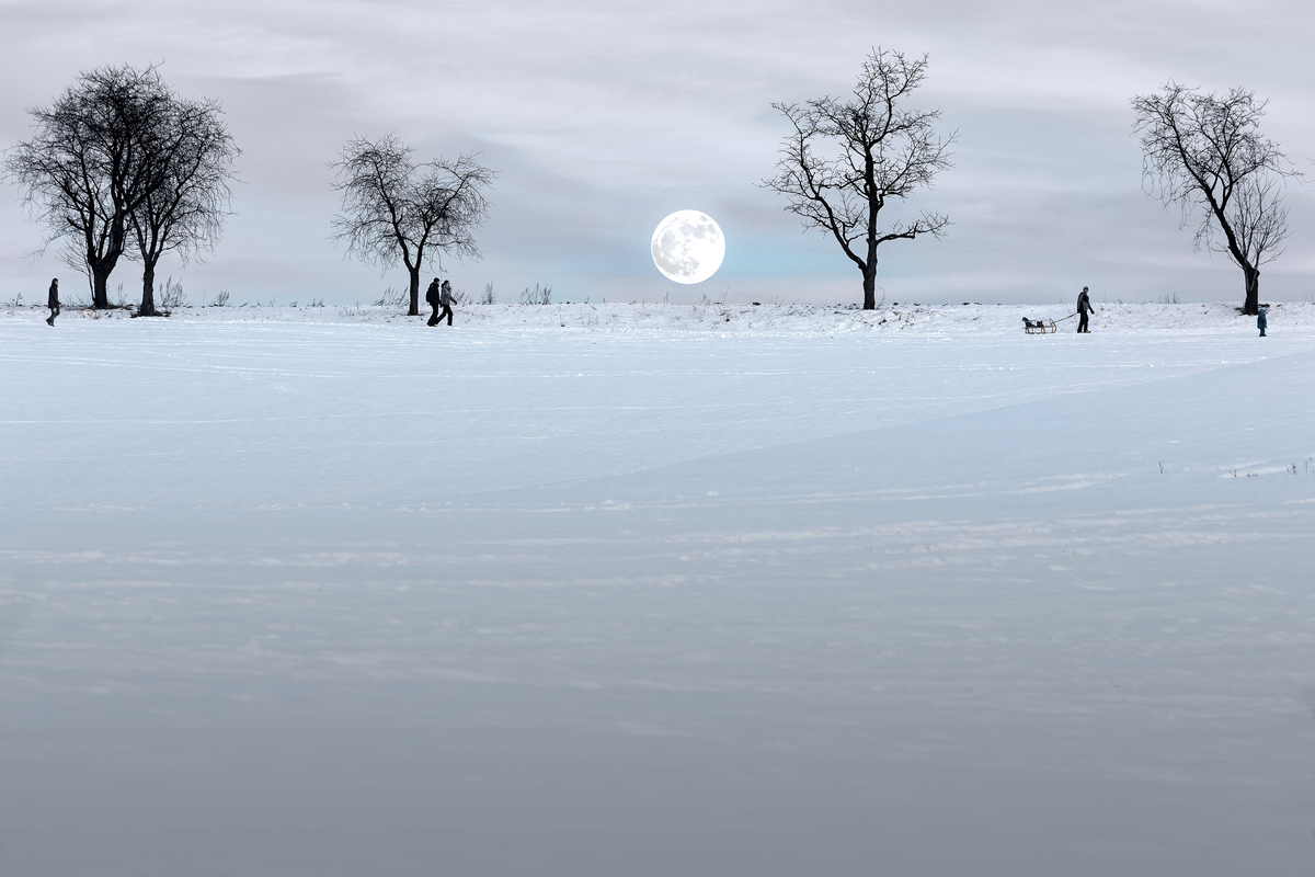 The True Story Behind The Town