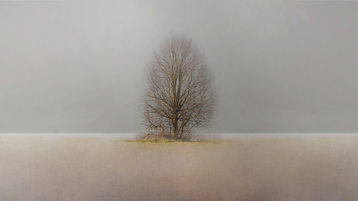 There is a tree behind my town