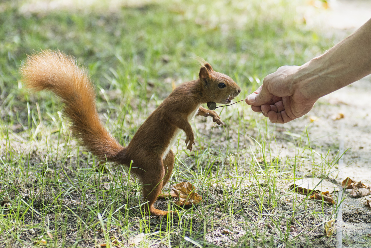 what do you have there