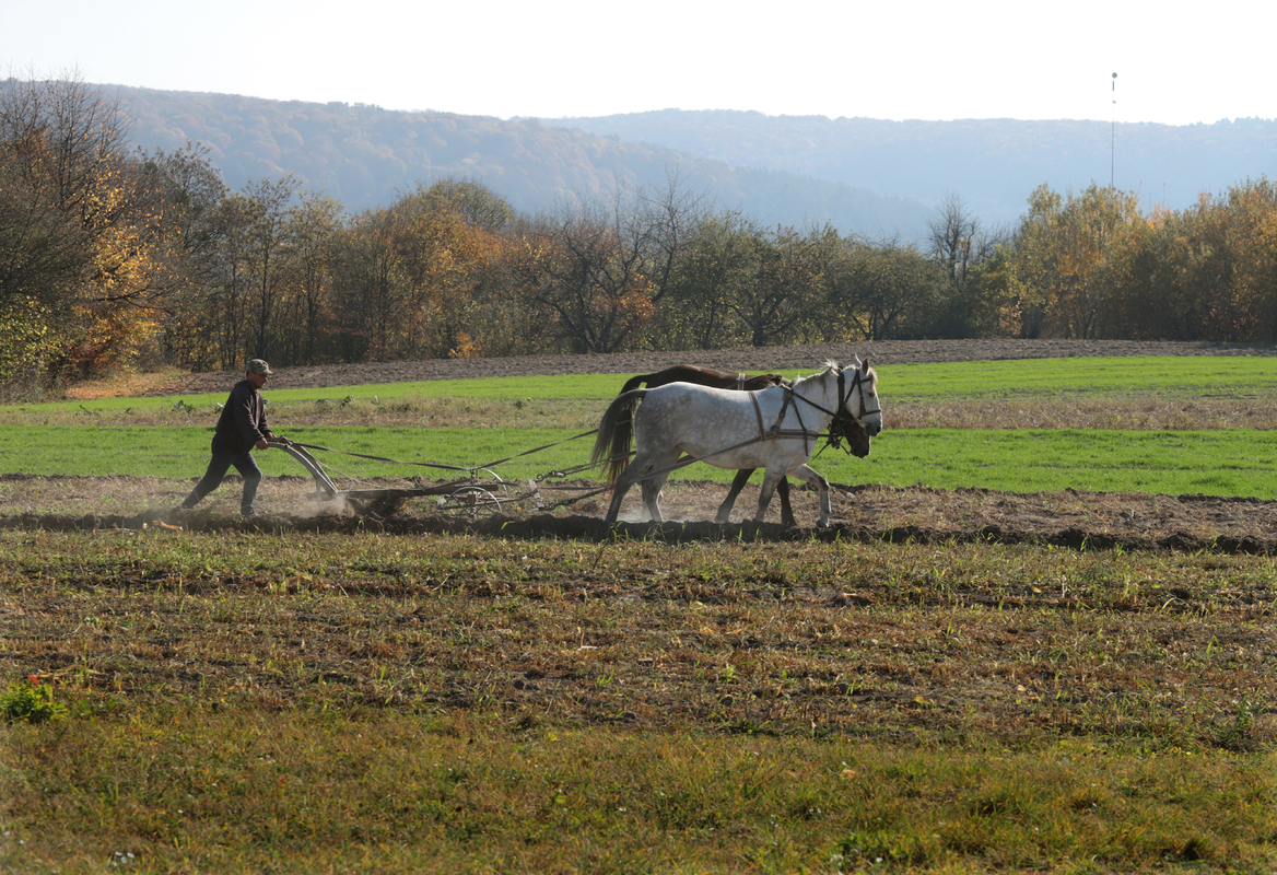 Осіння оранка