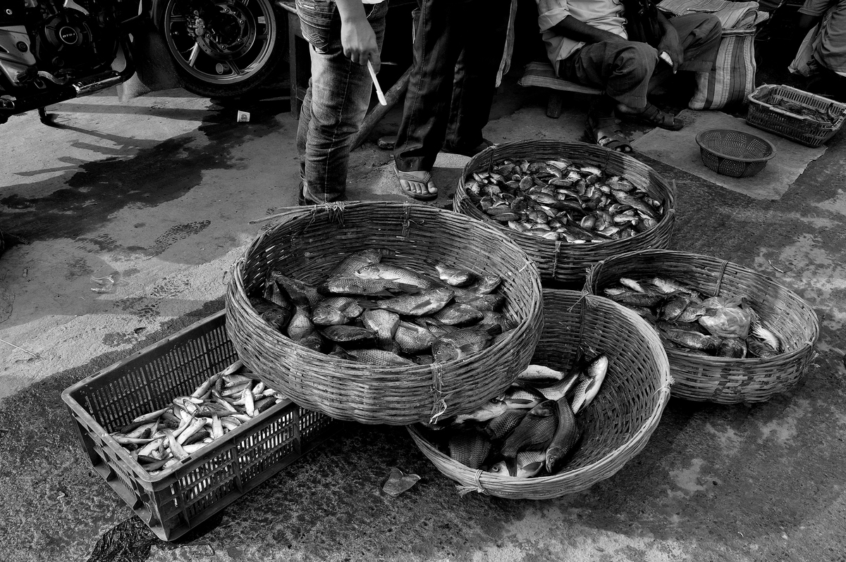 FISH MARKET-8