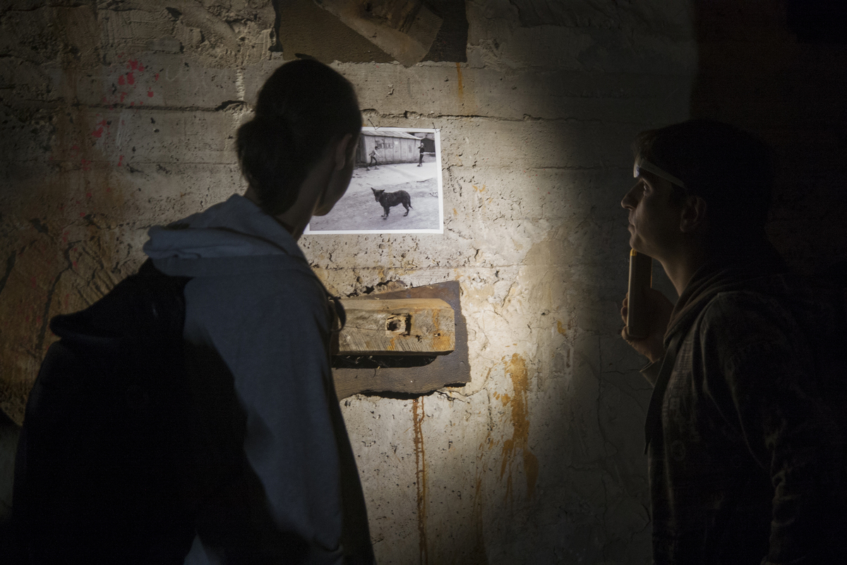 Ніч у кіно. Серія