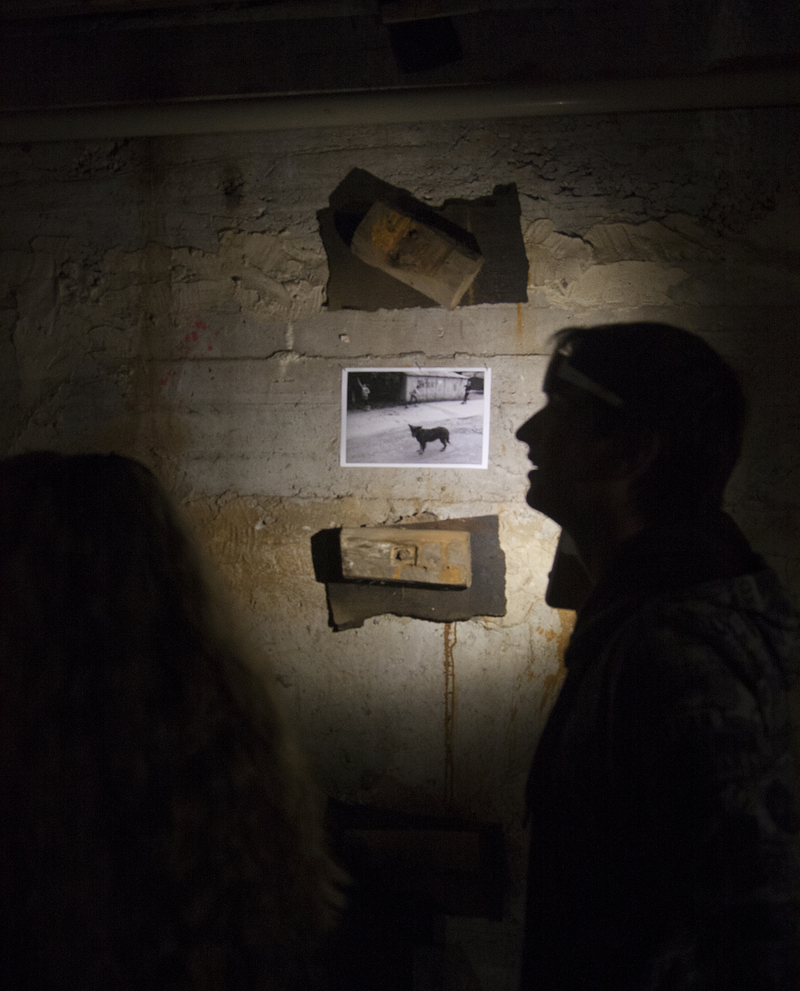 Ніч у кіно. Серія