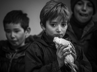 Мальчик с голубем