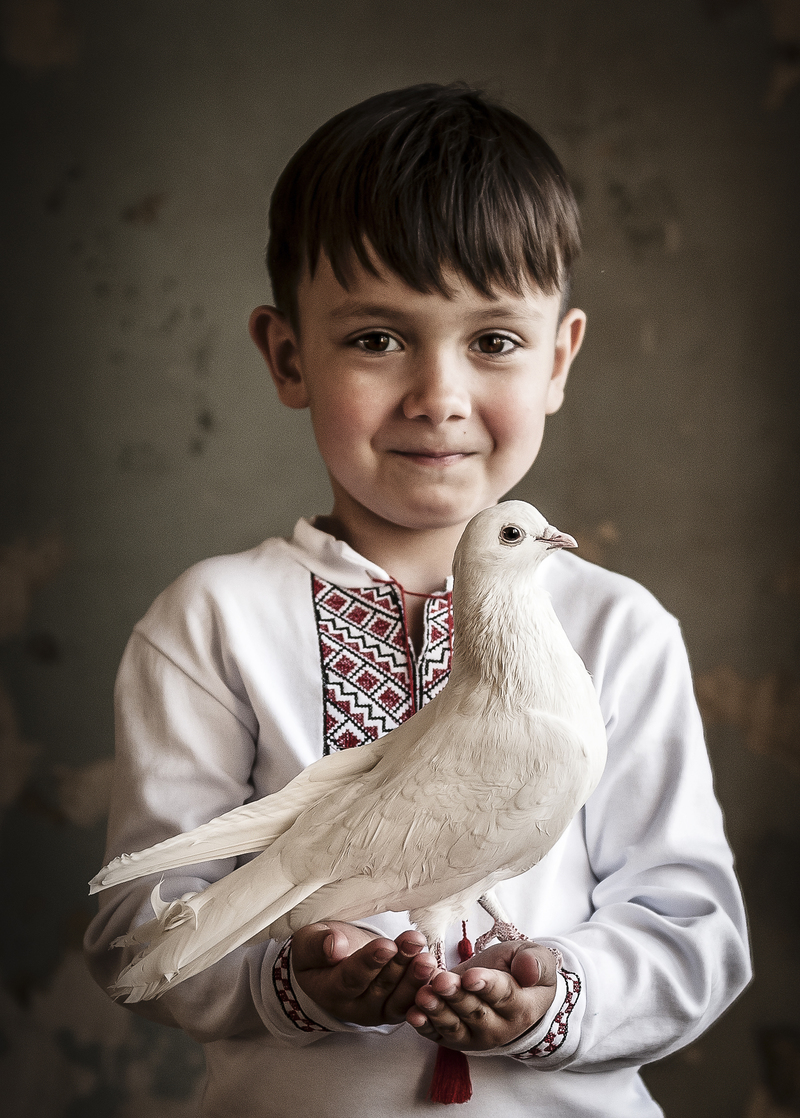 Сіла птаха білокрила на долоні...