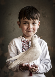 Сіла птаха білокрила на долоні...