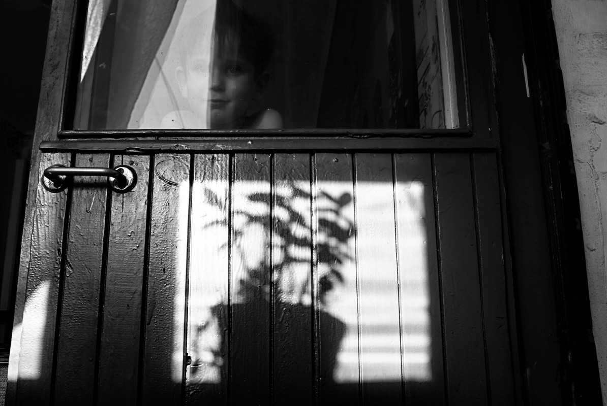 «children-flowers of life»