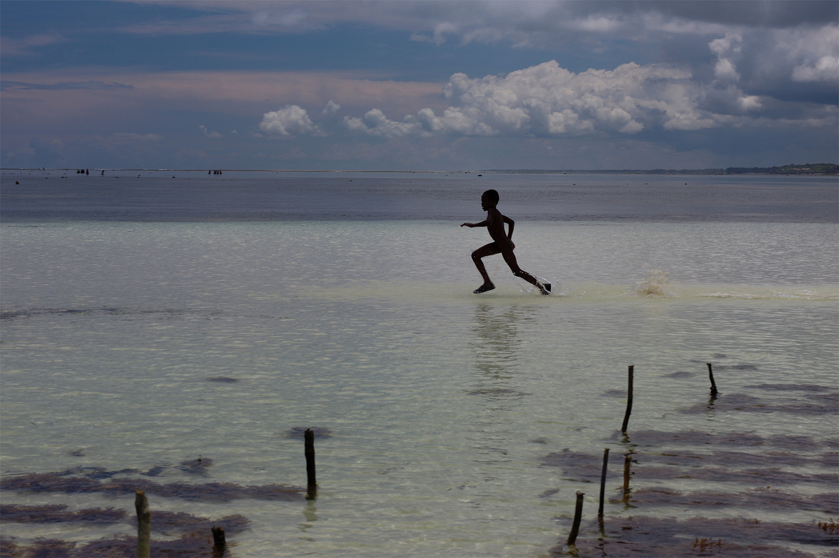 Невловимий вільний /Бігаючий по воді
