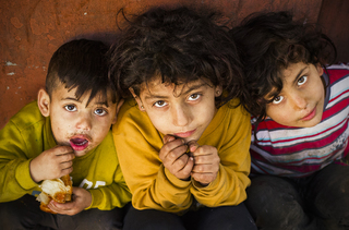 Золото нетрів