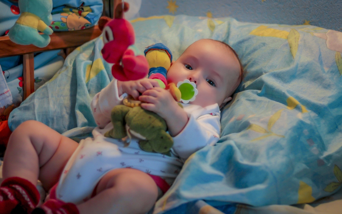 жадина-говядина)