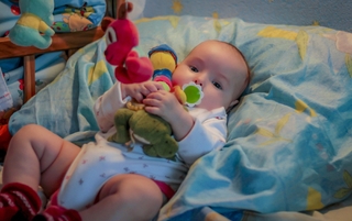 жадина-говядина)