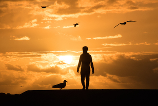 Ловец закатов