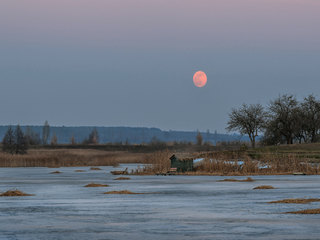 Кривавий місяць