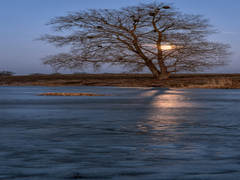 Місячна крига