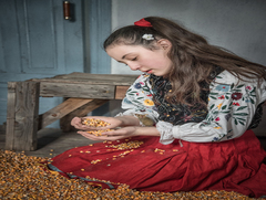 Українська попелюшка