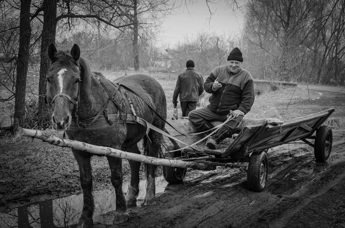 На Стрітення