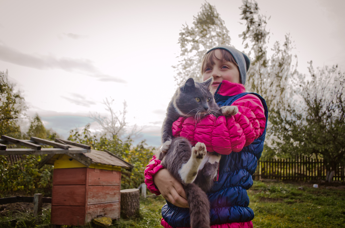 Дівчинка і кіт 