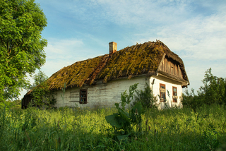 Українська історія