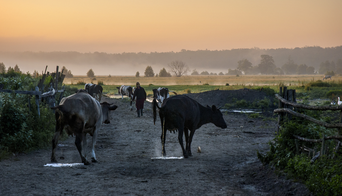 Ранок починається не з кави