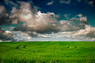 Круги на полях