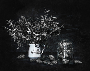 Шишковий натюрморт