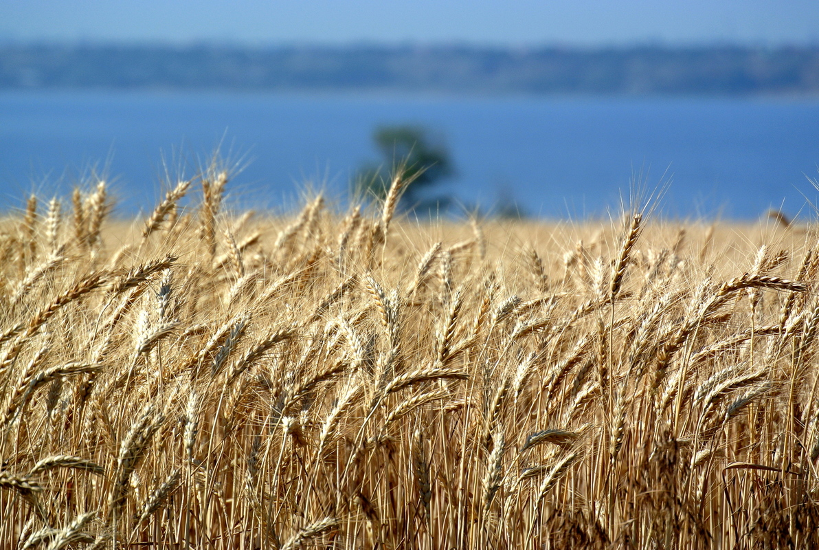 Вечная тема