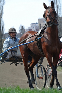 Остановленное время