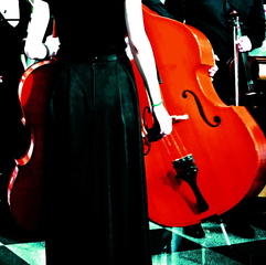 Геометрия музыки