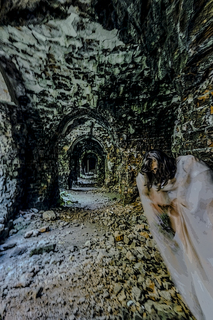 Портали Тараканівського форту