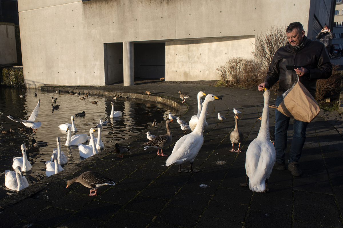 DAILY LIFE IN ICELAND_03