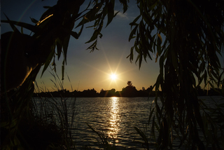 Сонячне коло