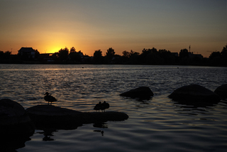 Басівкутське озеро