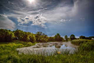 Гармонія природи