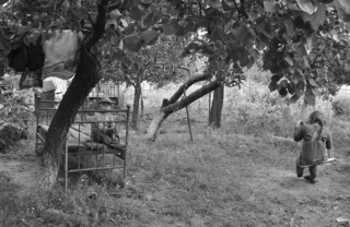 Дитинства мить