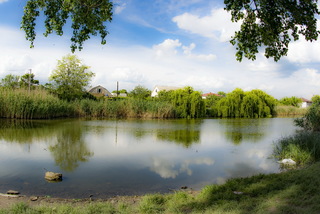 Лето в деревне