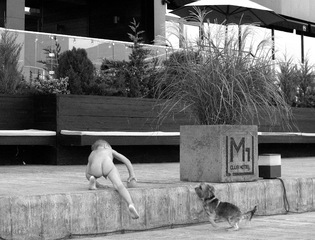 Мальчик с собачкой