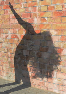 Оранжевое настроение