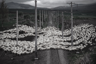 город Цалка