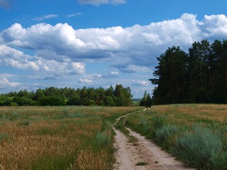 Дорога в дитинство
