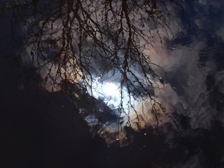 Світ у калюжі