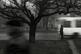 мить очикування