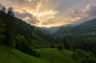 Красота карпатской весны