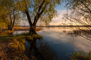 Весенний разлив Днепра