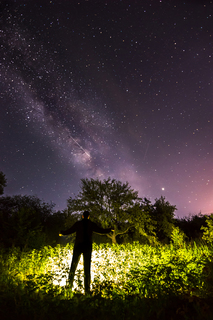 Дирижер звездного неба