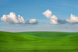 WindowsXP
