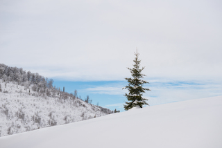 Стежкою на Бескид